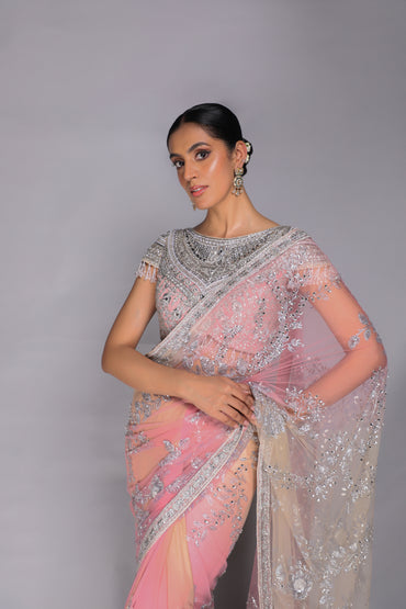 Pastel Embellished Saree