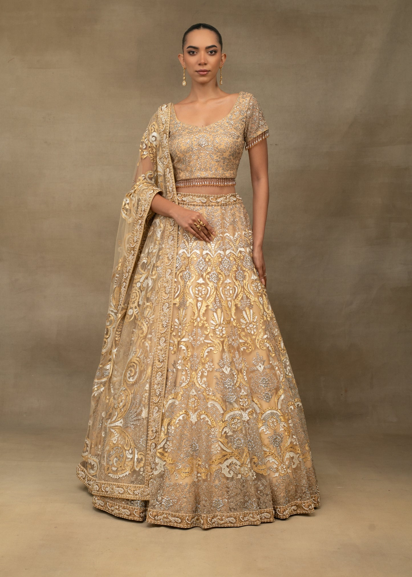 Beige Butterfly Lehenga Set