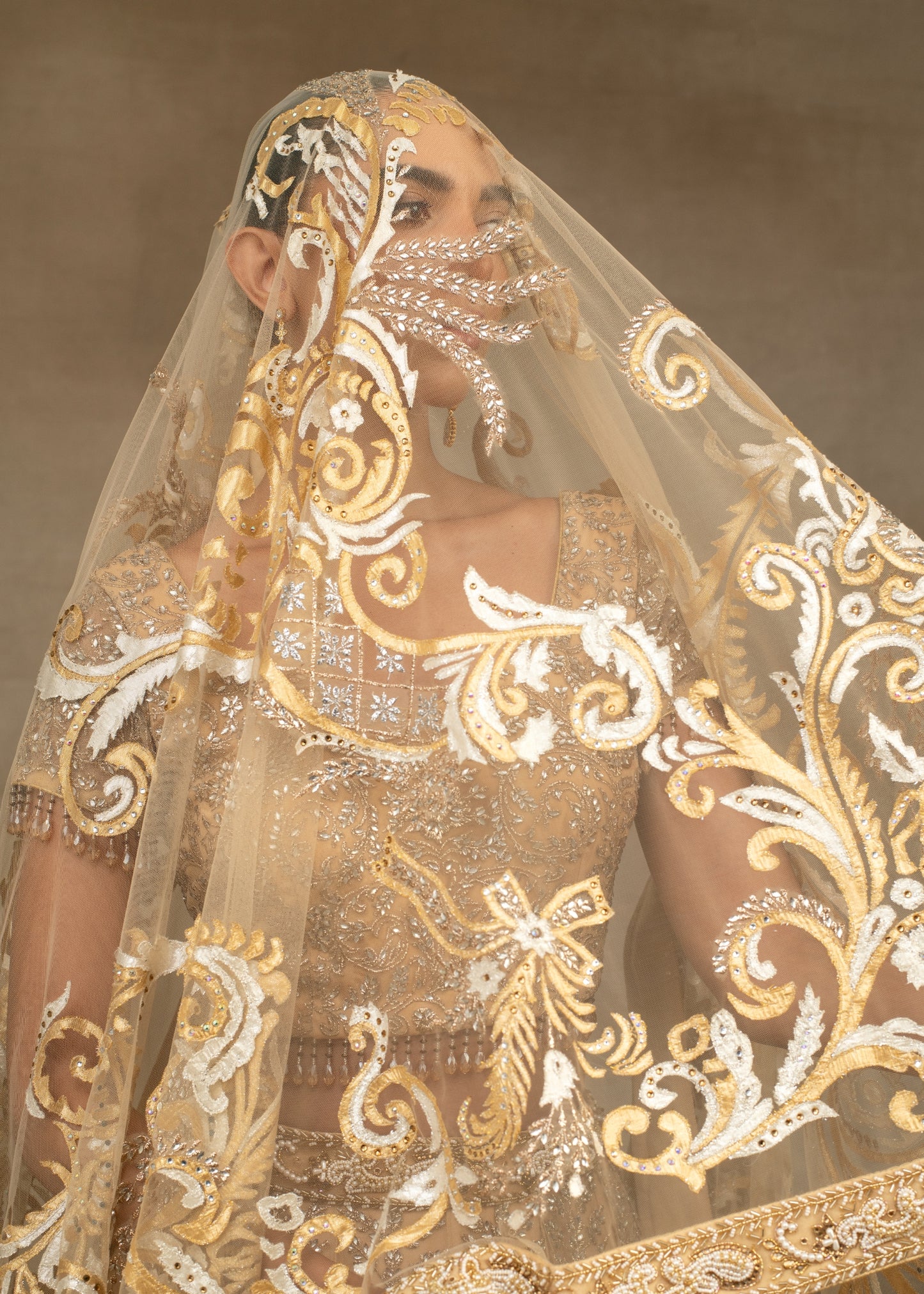 Beige Butterfly Lehenga Set
