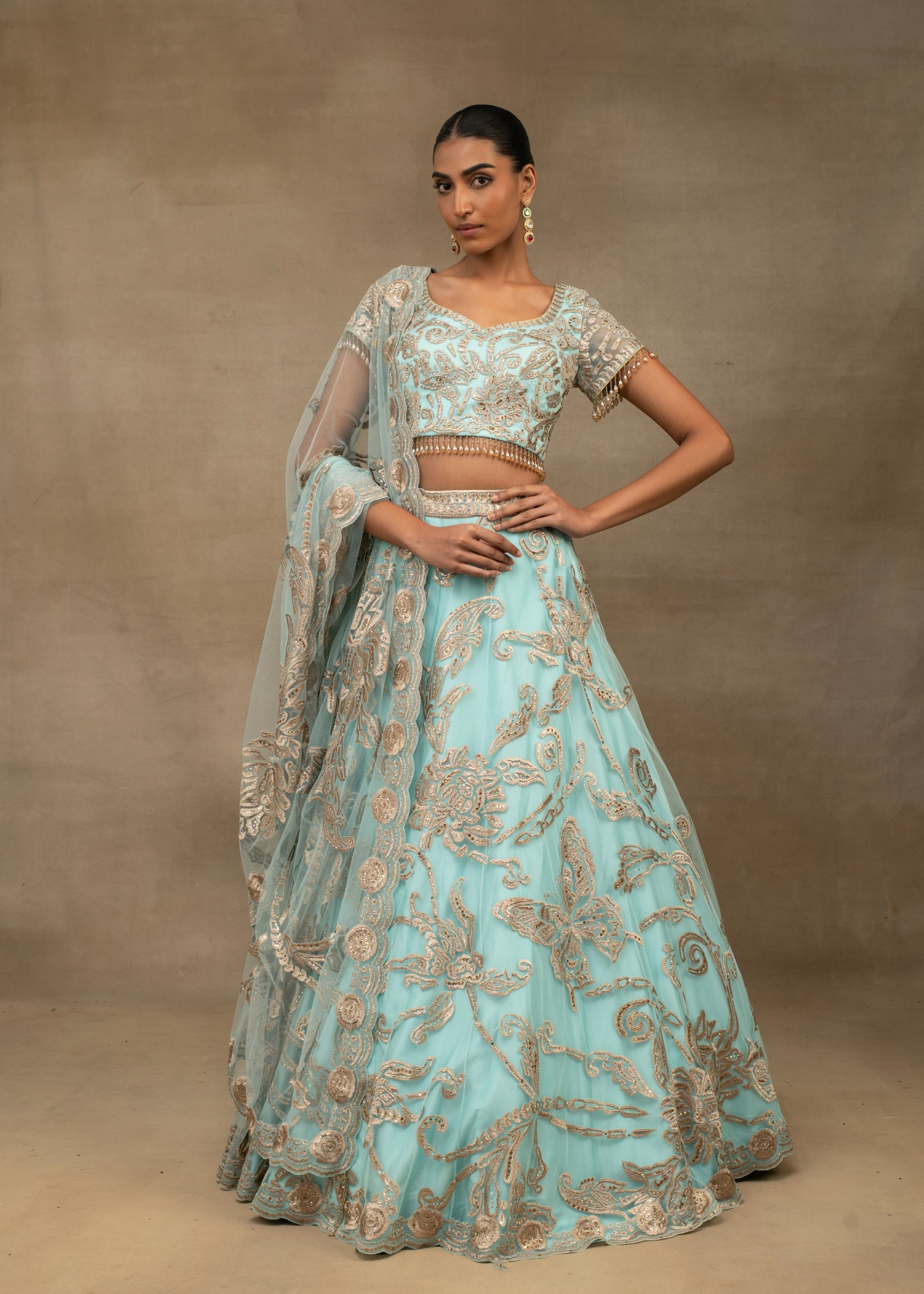 Butterfly Lehenga Set