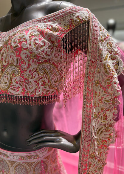 Coral Aari Dori Embroidery Lehenga Set