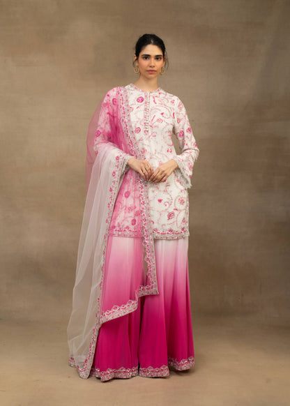 Ombré Rose Gharara