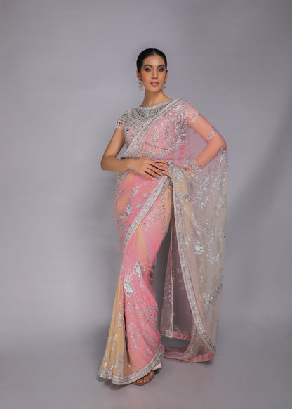 Pastel Embellished Saree