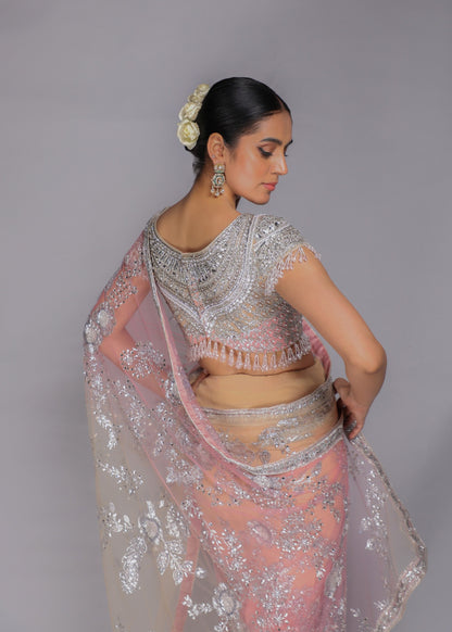Pastel Embellished Saree