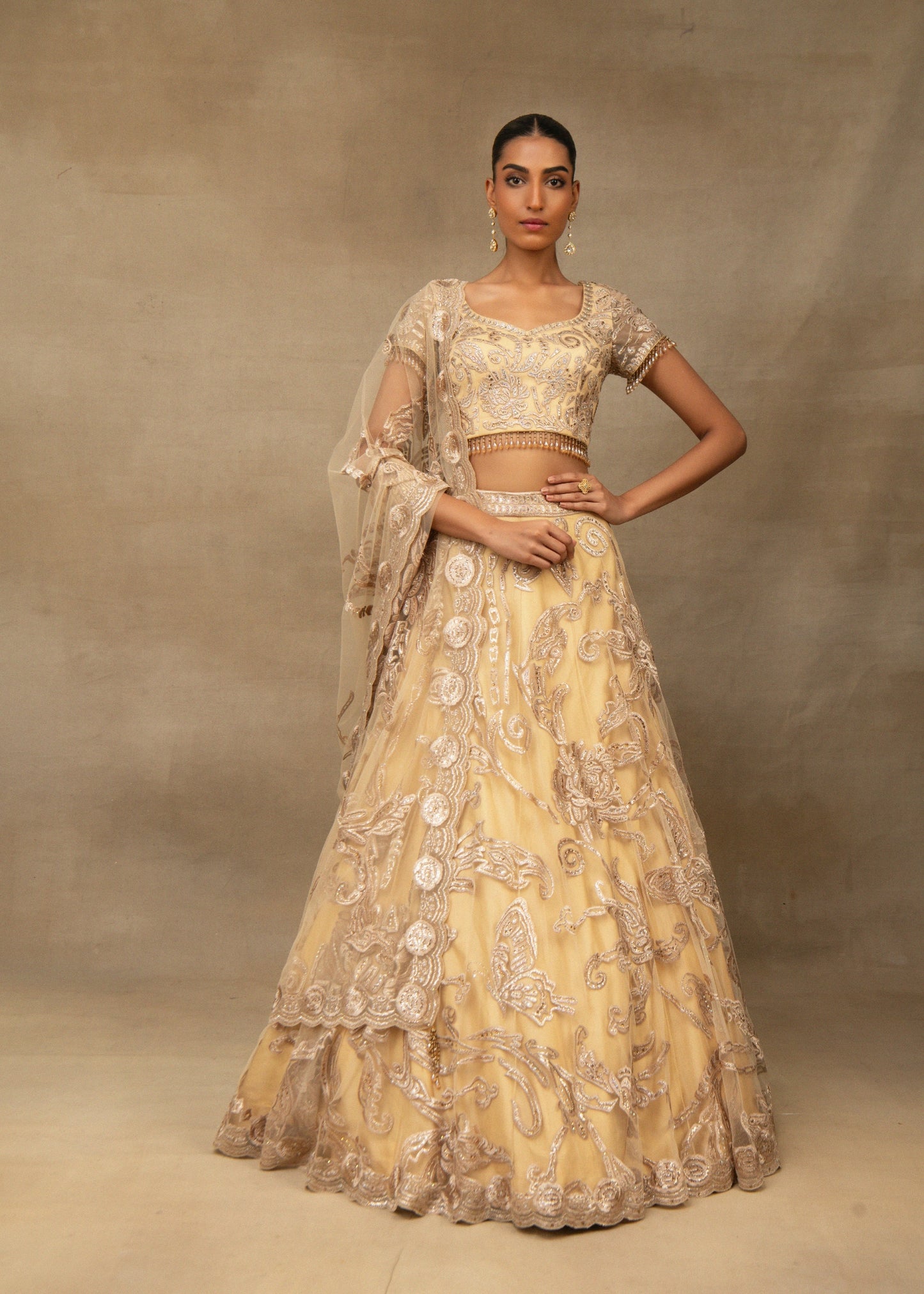 Beige Butterfly Lehenga Set