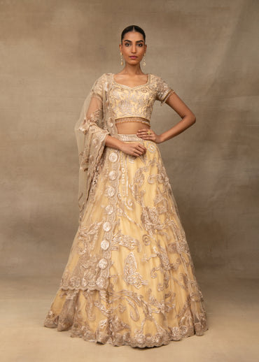 Beige Butterfly Lehenga Set