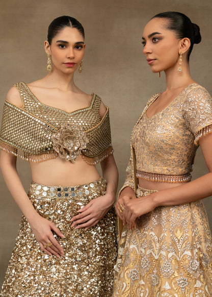 Beige Butterfly Lehenga Set