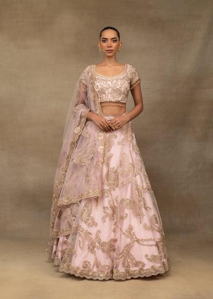 Blush Pink Embroidered Lehenga with Paisley Motifs