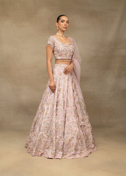 Blush Pink Embroidered Lehenga Set