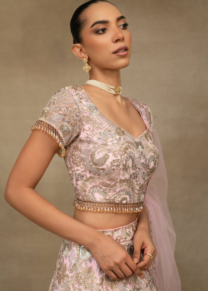 Blush Pink Embroidered Lehenga Set