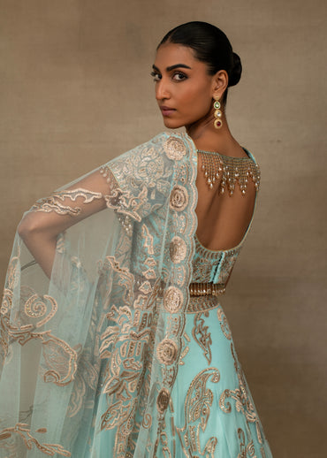Butterfly Lehenga Set