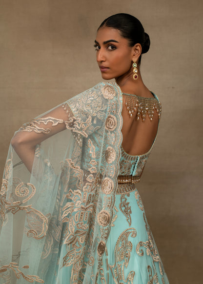 Butterfly Lehenga Set