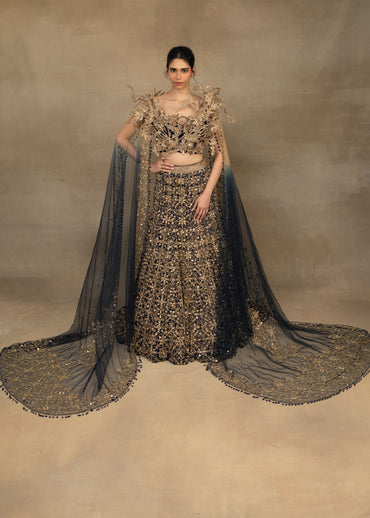 Lehenga Set