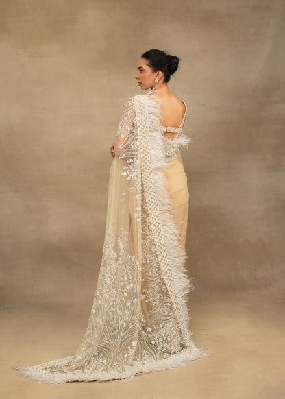 Champagne Ivory Saree