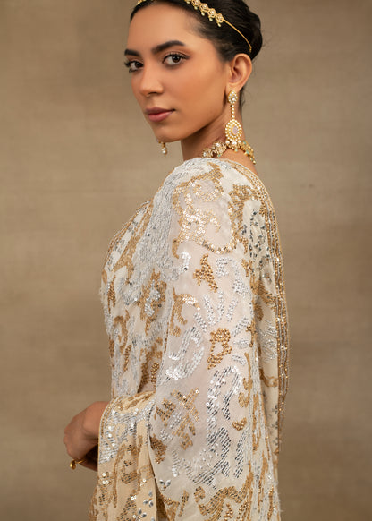 Saree with blouse