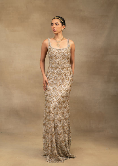 Gold and Silver Gown