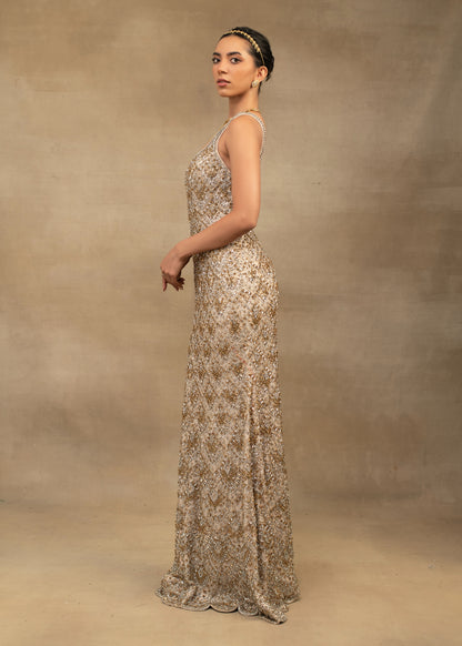 Gold and Silver Gown