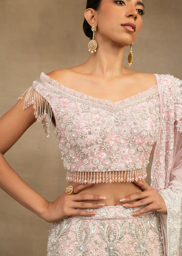 Mermaid style Blush Pink Lehenga Set